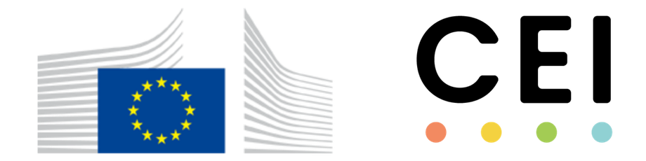 Survey page header logo text description