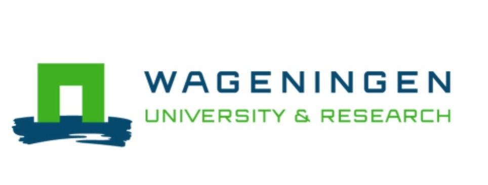 Survey page header logo text description